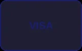 VISA信用卡支付方式图标